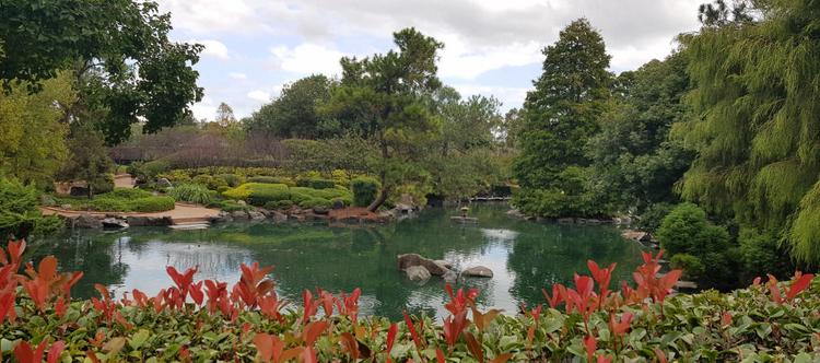 Auburn Botanic Gardens, Auburn, NSW (Cumberland LGA)