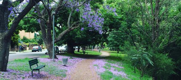 Howe Park, Windsor, NSW 2756 (Hawkesbury LGA)